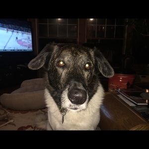 Meet your Posher, Robert